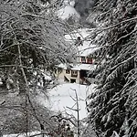 Apartament Ziegler - Fingerhut *