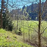 Apartament Ziegler - Fingerhut