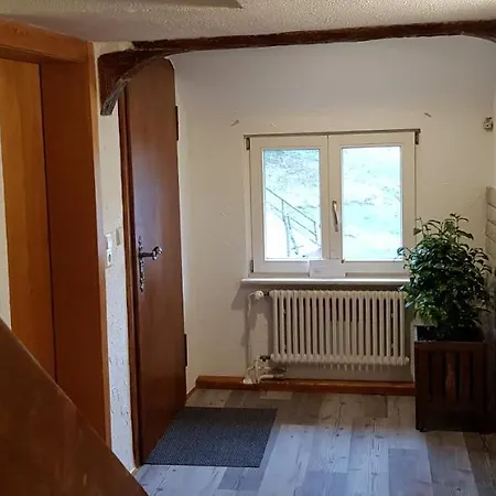 Ziegler - Fingerhut Baiersbronn