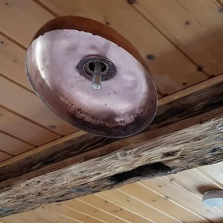 Ziegler - Fingerhut Baiersbronn