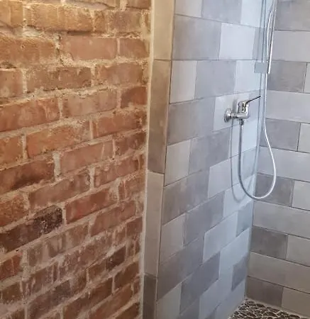 Ziegler - Fingerhut Baiersbronn