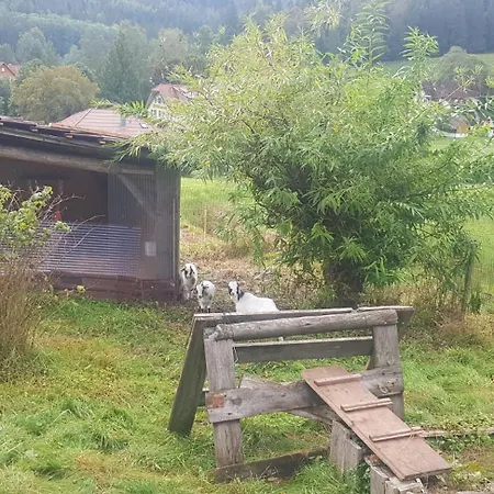 Ziegler - Fingerhut *