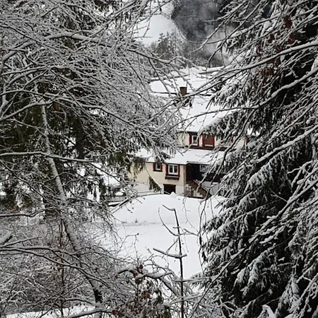 Apartment Ziegler - Fingerhut *