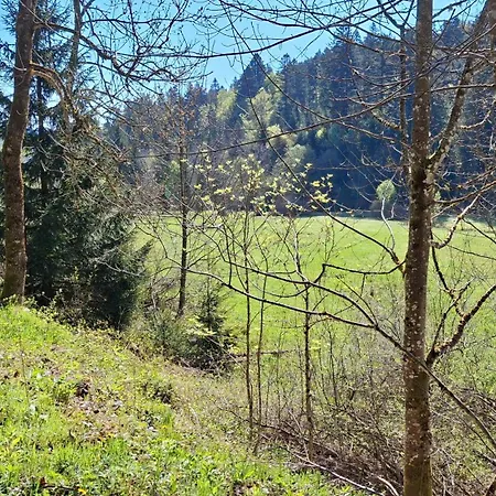 Appartement Ziegler - Fingerhut