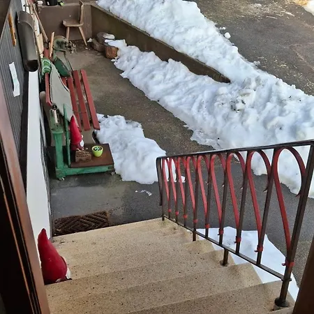 Διαμέρισμα Ziegler - Fingerhut Baiersbronn