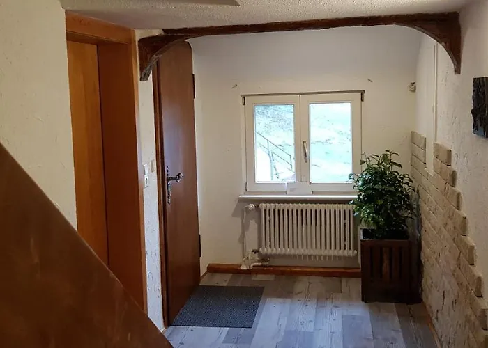 Ziegler - Fingerhut Baiersbronn