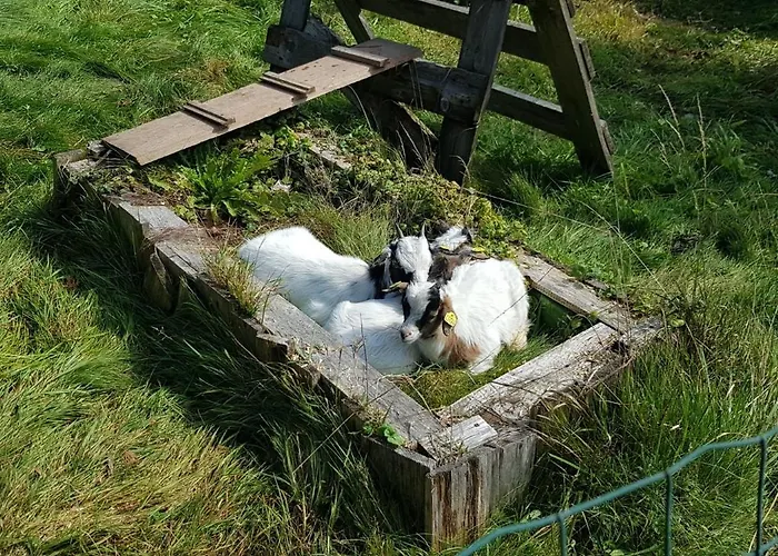 Ziegler - Fingerhut Apartamento Baiersbronn