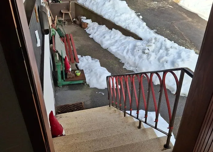 Apartamento Ziegler - Fingerhut Baiersbronn